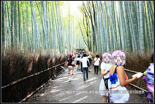 2017年日本京阪神遊-嵐山之旅 (67).jpg