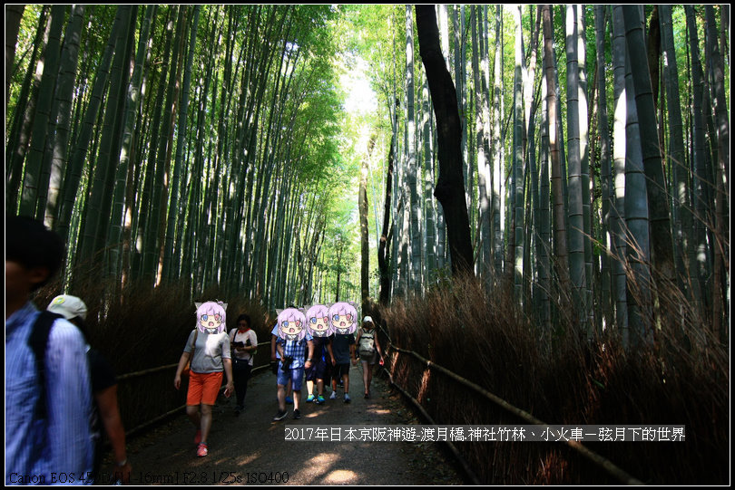 2017年日本京阪神遊-嵐山之旅 (69).jpg