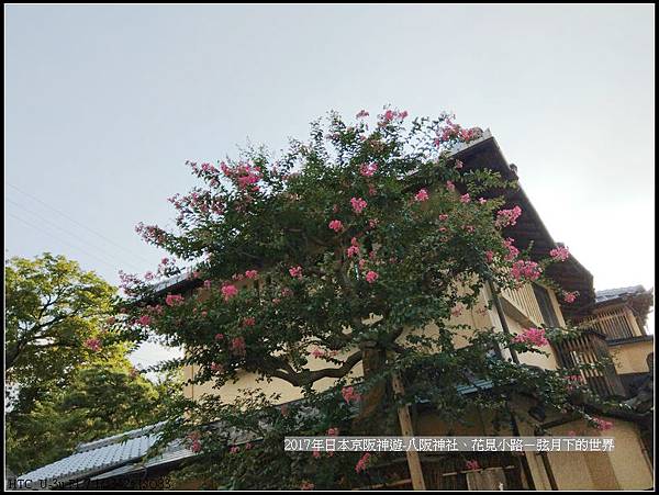 2017年日本京阪神遊-八阪神社花見小路 (5)