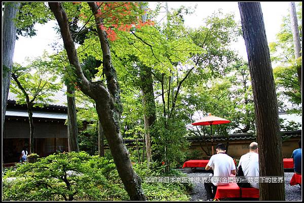2017年日本京阪神遊-鹿苑寺(金閣寺) (41).jpg