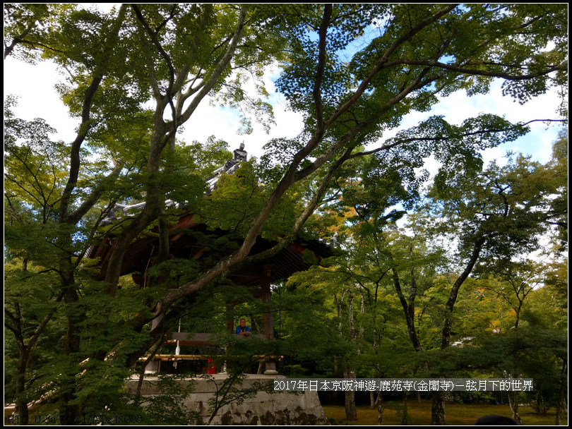 2017年日本京阪神遊-鹿苑寺(金閣寺) (56).jpg