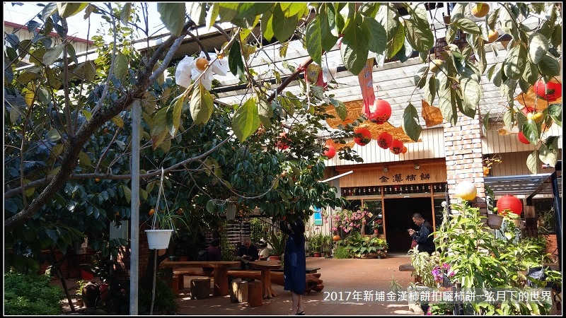 2017年新埔金漢杮餅教育農園拍曬柿餅 (4).jpg