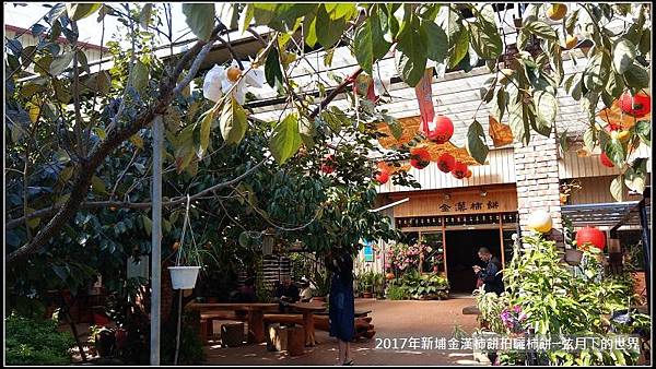 2017年新埔金漢杮餅教育農園拍曬柿餅 (4).jpg