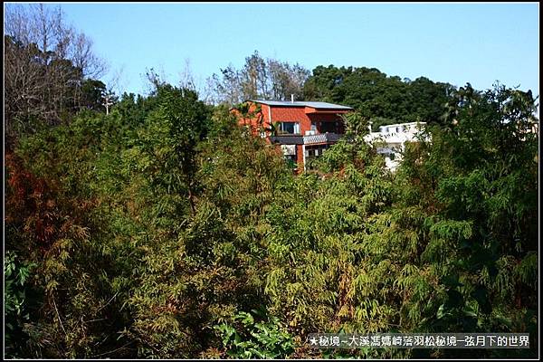 ★大溪馮媽崎落羽松秘境 (11).jpg