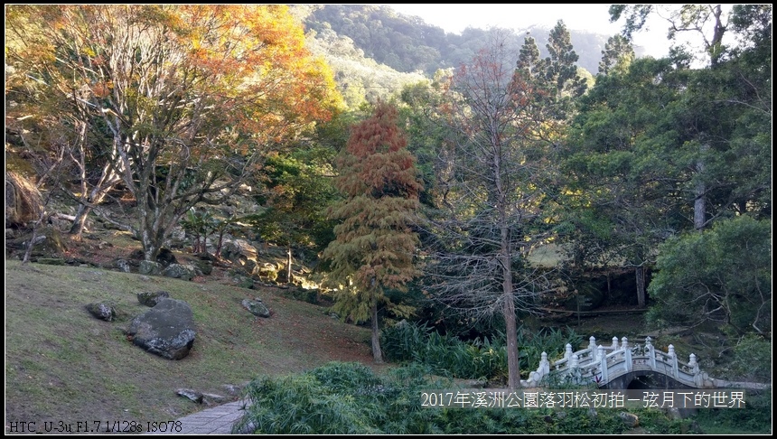 2017年溪洲公園落羽松初拍 (2).jpg