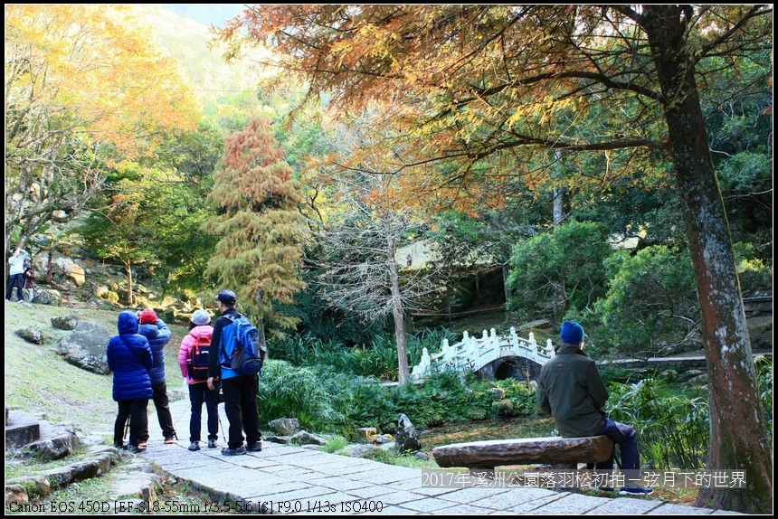 2017年溪洲公園落羽松初拍 (20).jpg