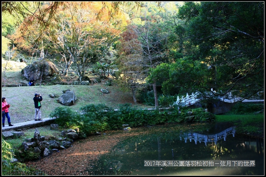 2017年溪洲公園落羽松初拍 (24).jpg