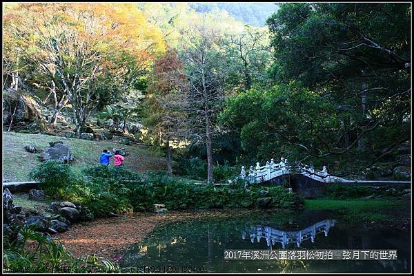 2017年溪洲公園落羽松初拍 (26).jpg