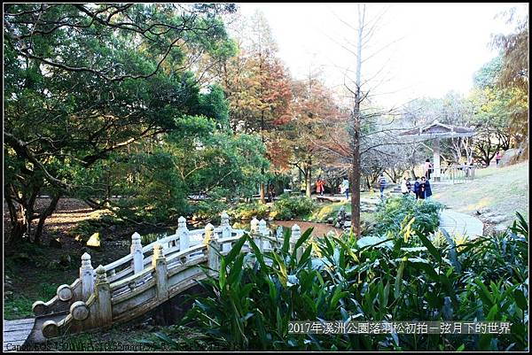 2017年溪洲公園落羽松初拍 (29).jpg
