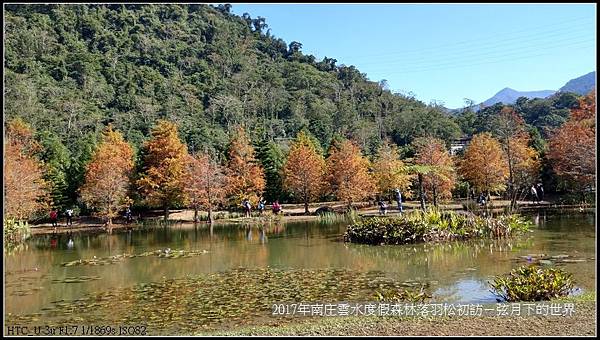 2017年南庄雲水落羽松初訪 (17).jpg