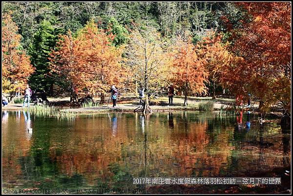 2017年南庄雲水落羽松初訪 (44).jpg