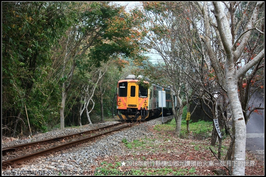 2018年1月3日九讚頭拍火車與楓 (1).jpg