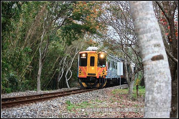 2018年1月3日九讚頭拍火車與楓 (24).jpg