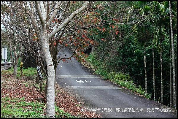 2018年1月3日九讚頭拍火車與楓 (40).jpg