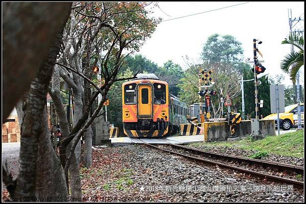 2018年1月3日九讚頭拍火車與楓 (44).jpg