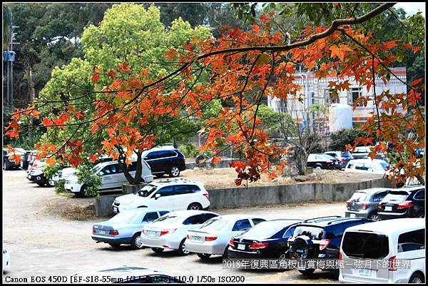 2018年角板山賞梅與楓 (14).jpg