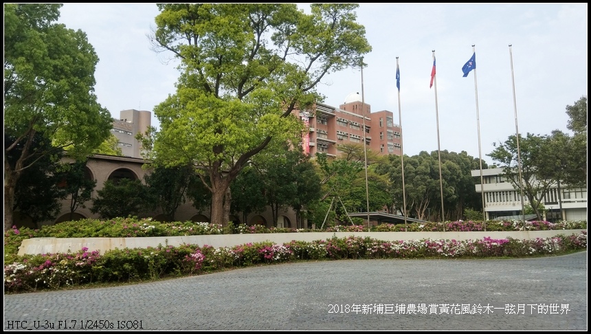 2018年中原大學賞杜鵑花 (4).jpg