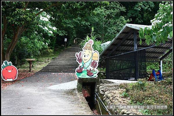 大溪十一指古道賞桐初訪 (5).jpg