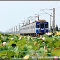 2018年通霄追火車與荷花 (14).jpg