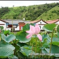 2018年7月4日-台中清水趙家古厝賞荷  (3).jpg