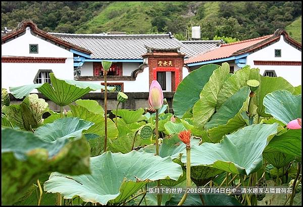2018年7月4日-台中清水趙家古厝賞荷  (1).jpg