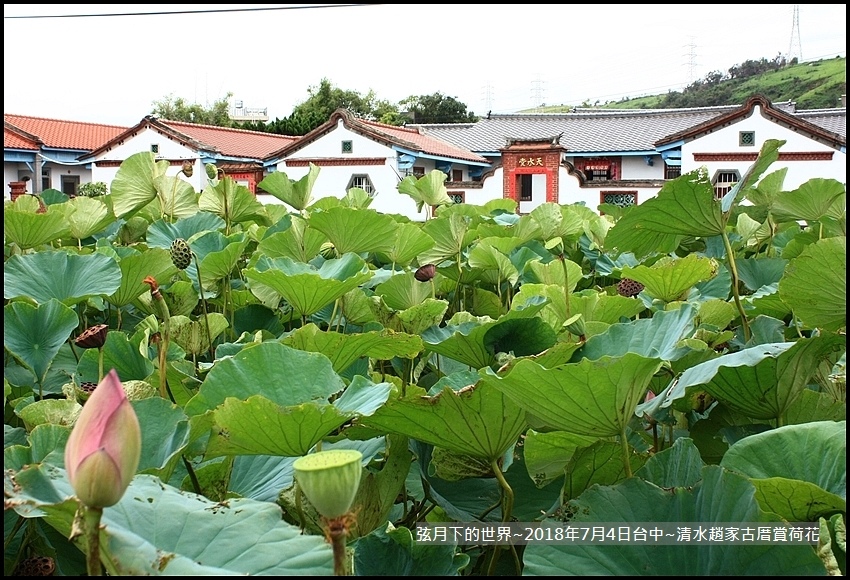 2018年7月4日-台中清水趙家古厝賞荷  (11).jpg