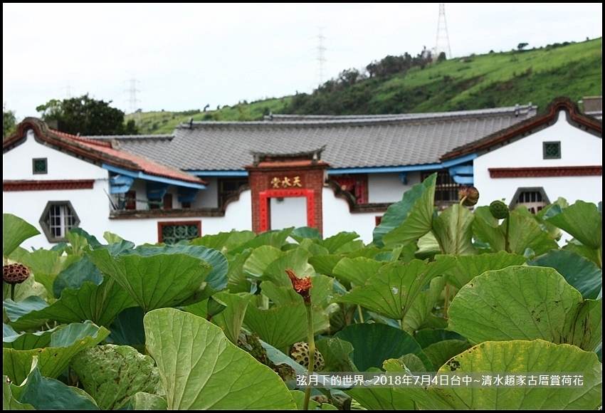 2018年7月4日-台中清水趙家古厝賞荷  (10).jpg