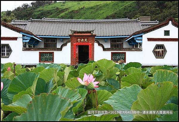 2018年7月4日-台中清水趙家古厝賞荷  (9).jpg