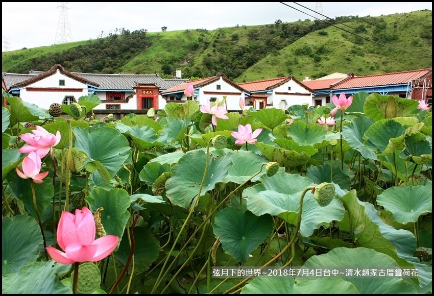 2018年7月4日-台中清水趙家古厝賞荷  (18).jpg