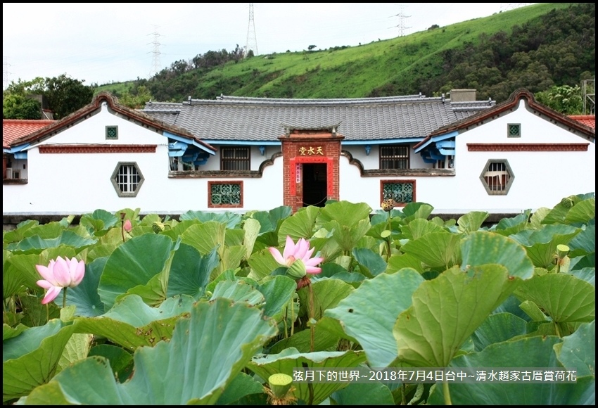 2018年7月4日-台中清水趙家古厝賞荷  (15).jpg