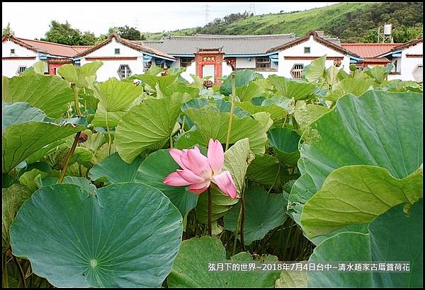 2018年7月4日-台中清水趙家古厝賞荷  (14).jpg