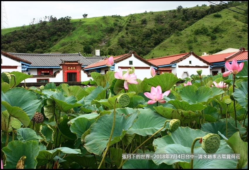 2018年7月4日-台中清水趙家古厝賞荷  (17).jpg