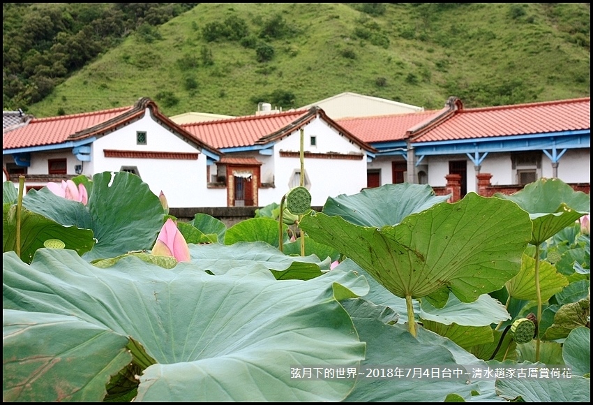 2018年7月4日-台中清水趙家古厝賞荷  (24).jpg