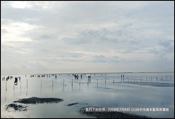 2018年7月4日-台中市清水區高美濕地 (2).jpg