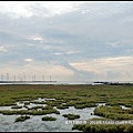 2018年7月4日-台中市清水區高美濕地 (4).jpg