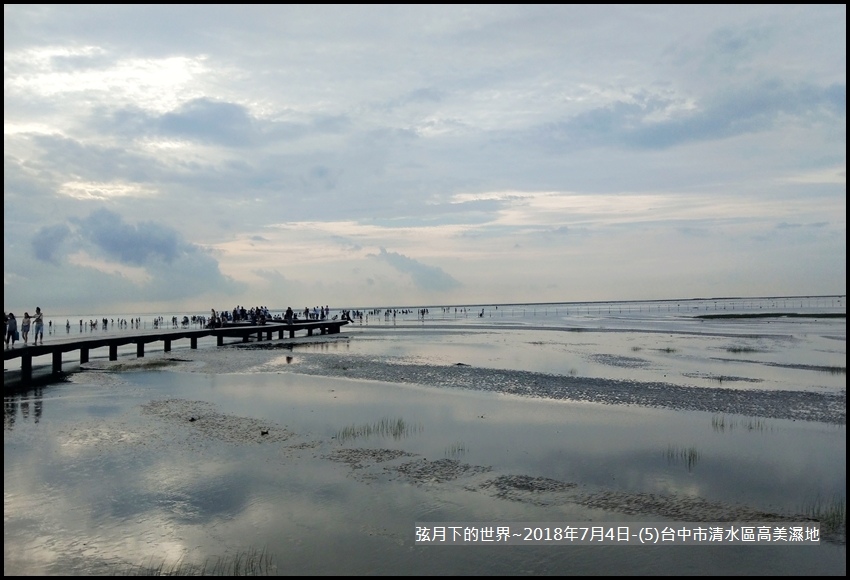 2018年7月4日-台中市清水區高美濕地 (3).jpg