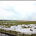 2018年7月4日-台中市清水區高美濕地 (12).jpg