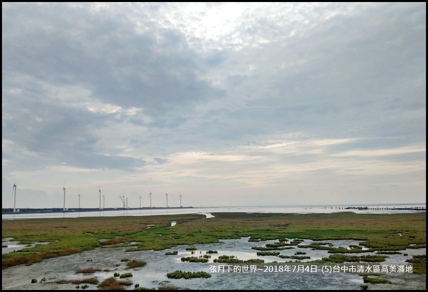 2018年7月4日-台中市清水區高美濕地 (8).jpg