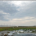 2018年7月4日-台中市清水區高美濕地 (8).jpg