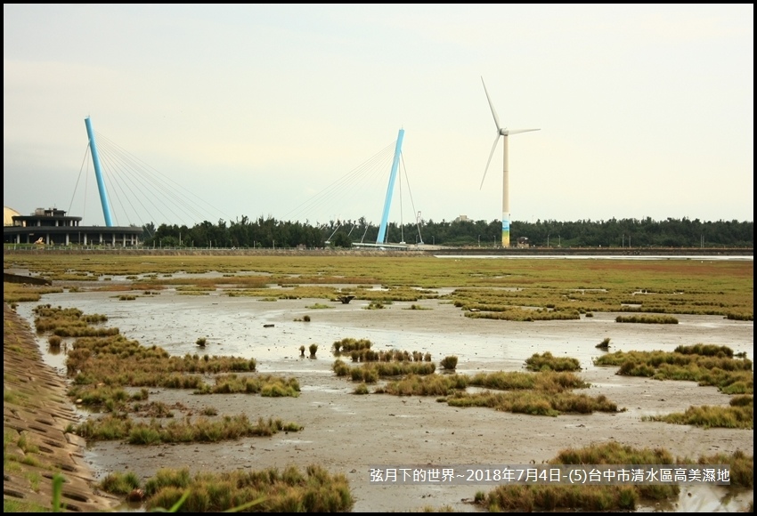 2018年7月4日-台中市清水區高美濕地 (16).jpg