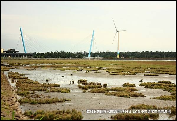 2018年7月4日-台中市清水區高美濕地 (16).jpg