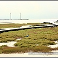 2018年7月4日-台中市清水區高美濕地 (19).jpg