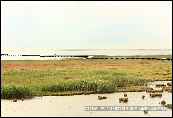 2018年7月4日-台中市清水區高美濕地 (14).jpg