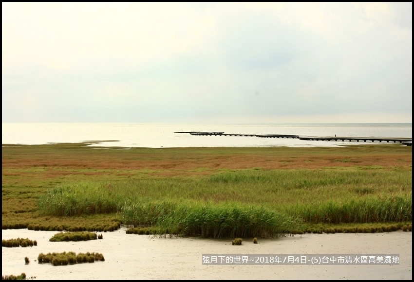 2018年7月4日-台中市清水區高美濕地 (15).jpg