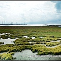 2018年7月4日-台中市清水區高美濕地 (36).jpg