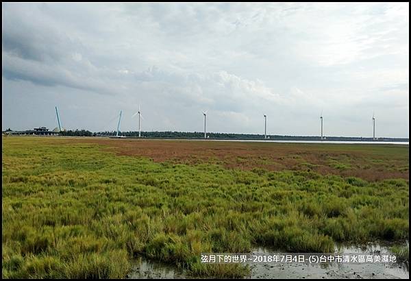 2018年7月4日-台中市清水區高美濕地 (38).jpg