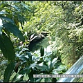 2018年8月22日新北市平溪區嶺腳瀑布 (2).jpg