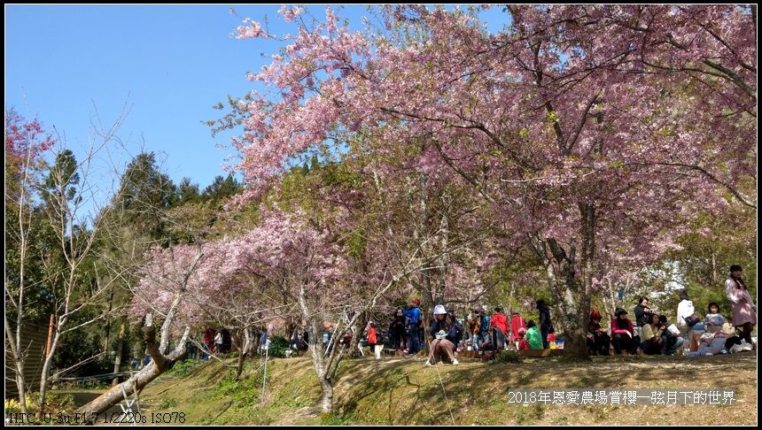 2018年恩愛農場賞櫻  (9).jpg