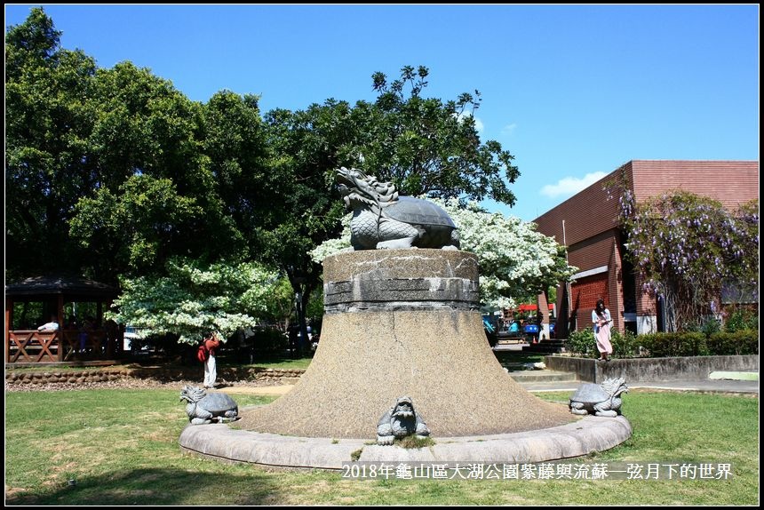 2018年龜山大湖公園紫藤流蘇 (3).jpg