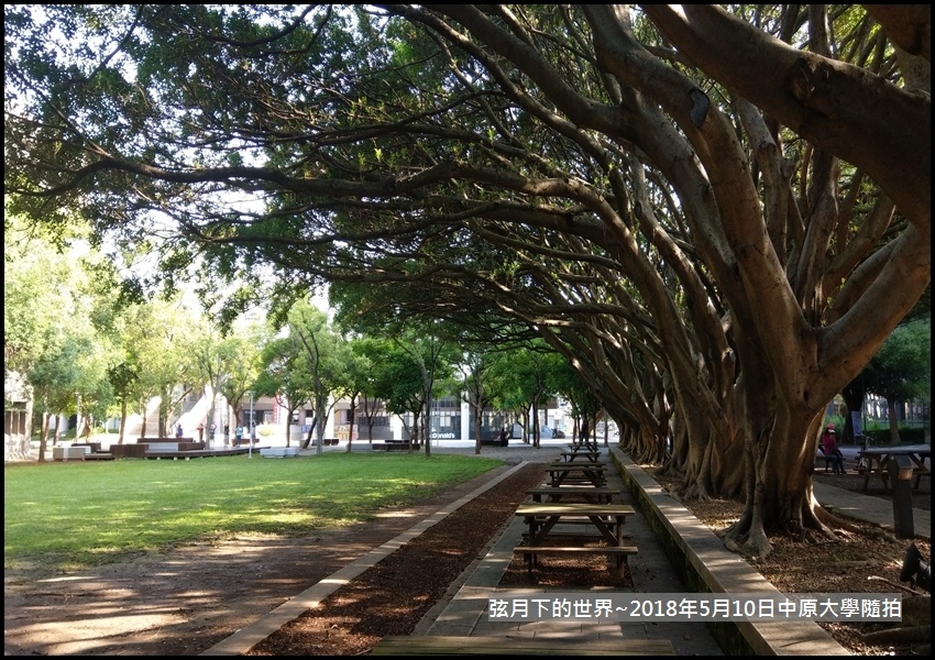 2018年5月10日中原大學隨拍 (4).jpg